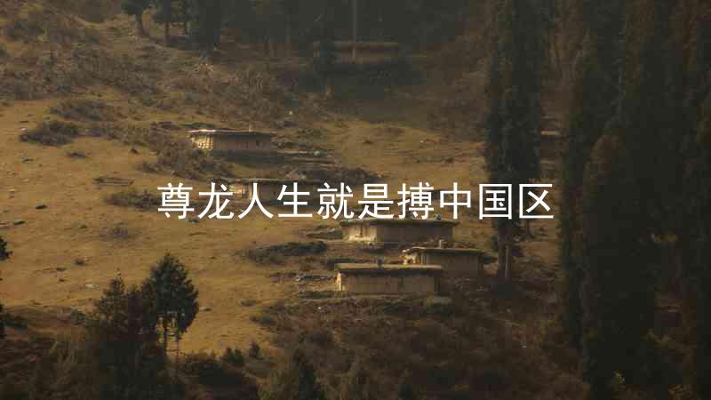 尊龙人生就是搏中国区