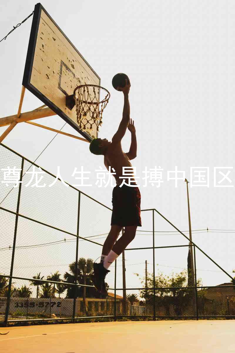 尊龙人生就是搏中国区