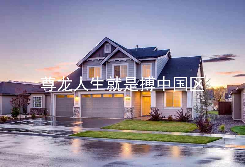 尊龙人生就是搏中国区