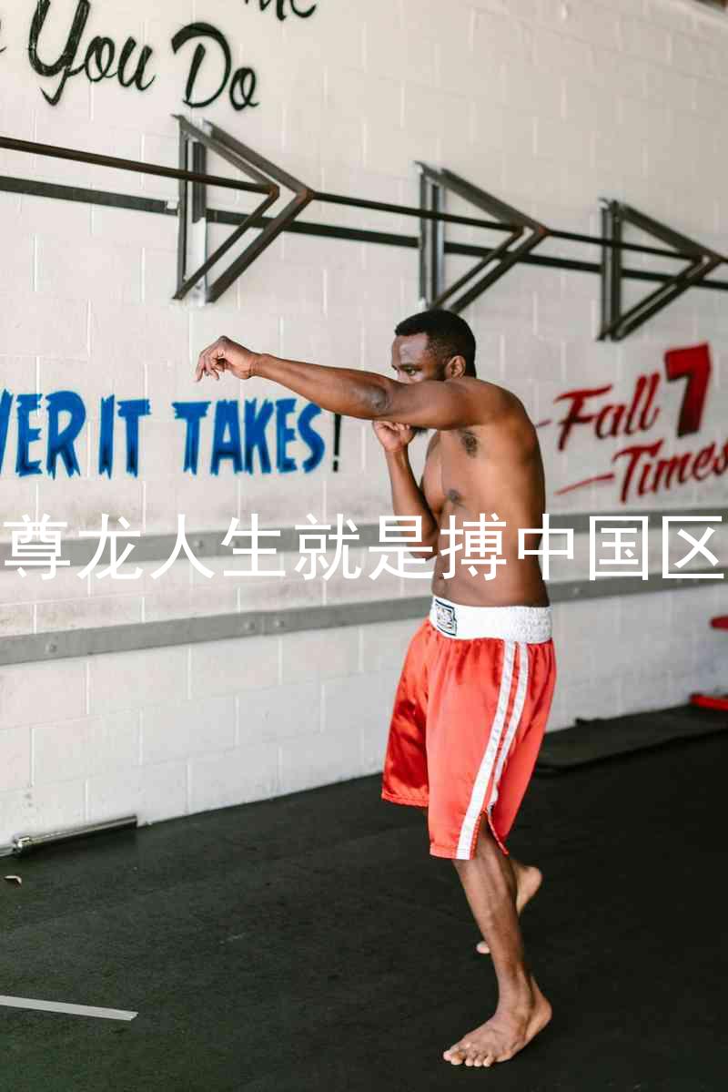 尊龙人生就是搏中国区