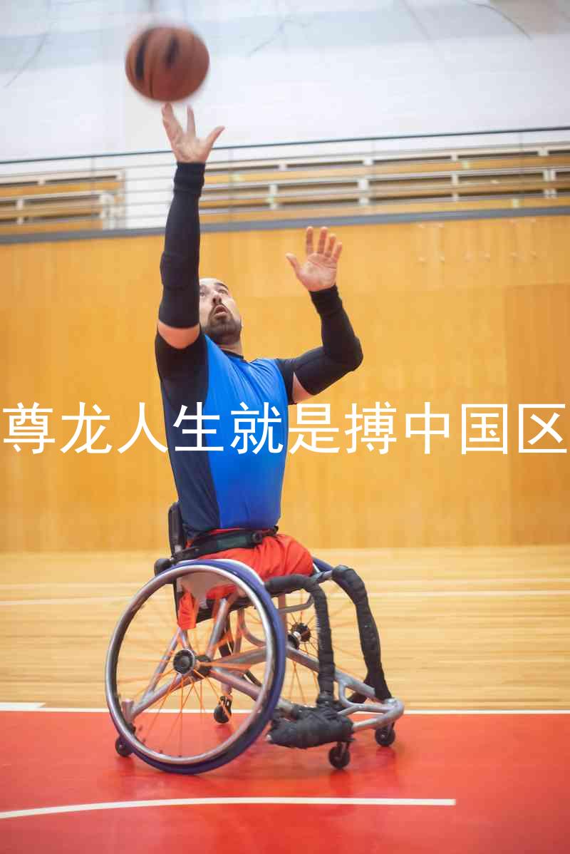 尊龙人生就是搏中国区