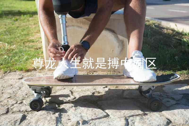 尊龙人生就是搏中国区