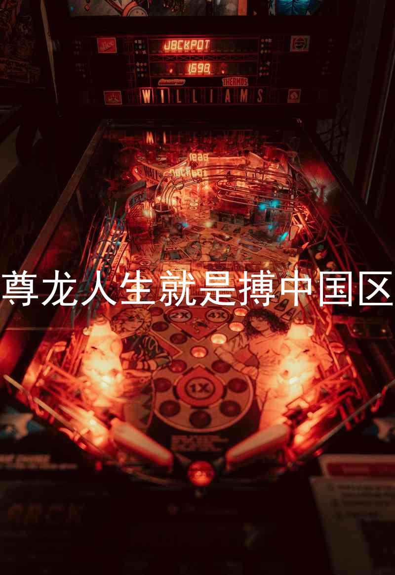 尊龙人生就是搏中国区