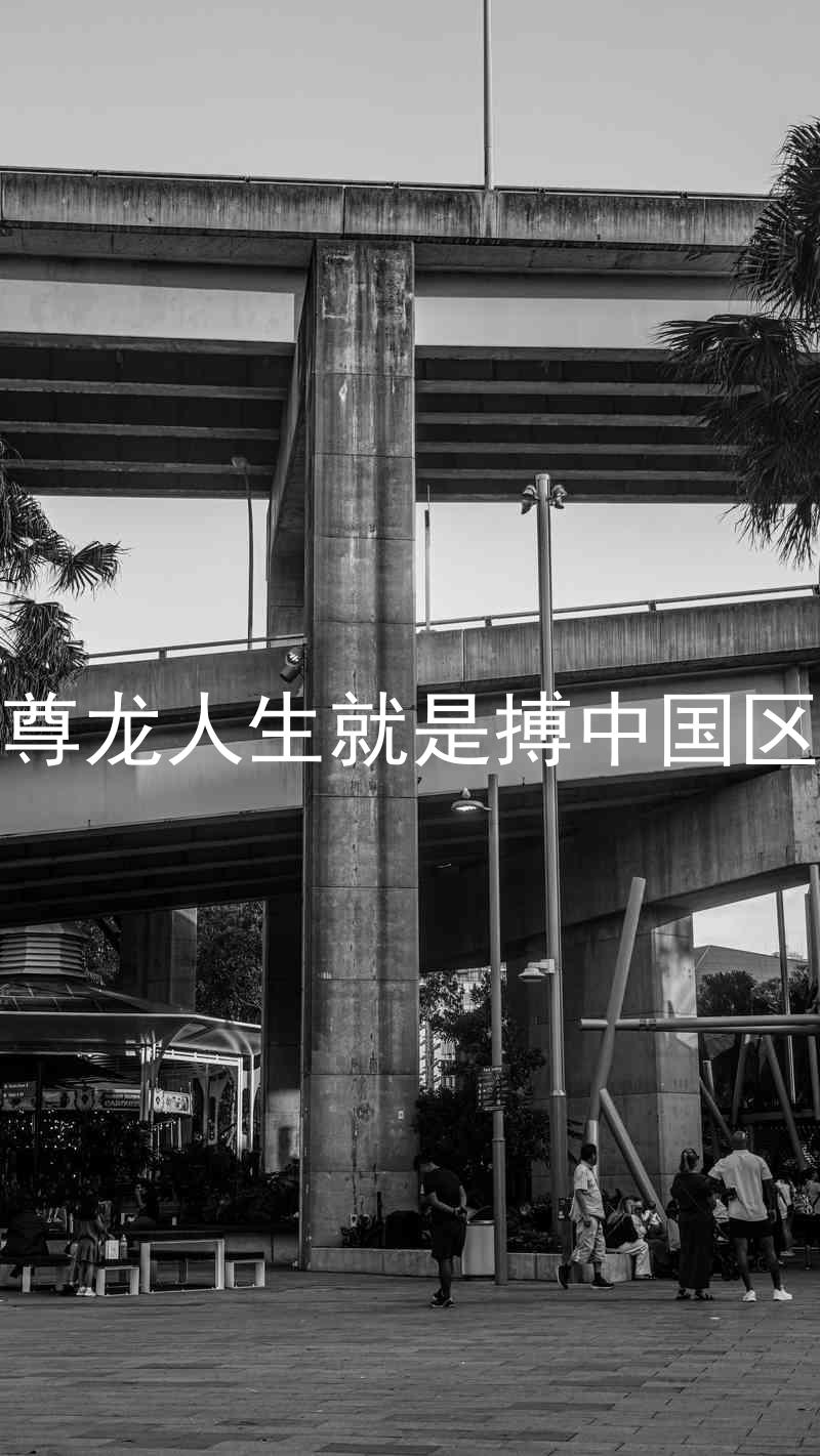 尊龙人生就是搏中国区