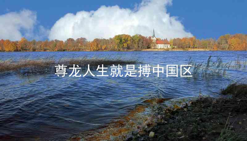 尊龙人生就是搏中国区